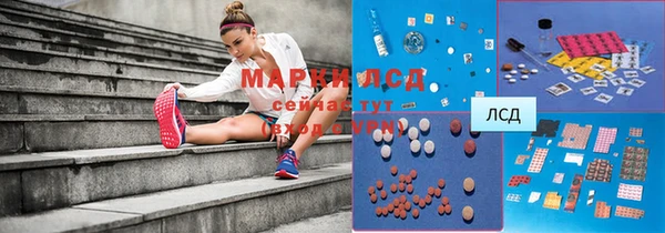 spice Покачи